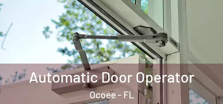 Automatic Door Operator Ocoee - FL