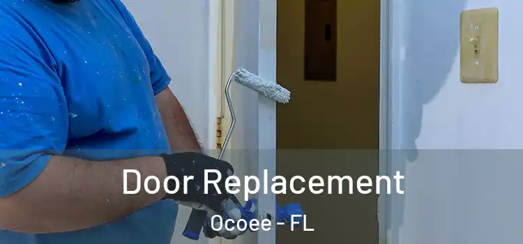 Door Replacement Ocoee - FL