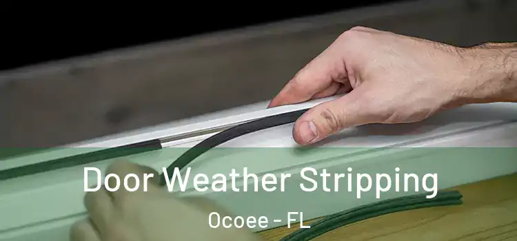 Door Weather Stripping Ocoee - FL