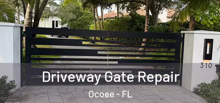 Driveway Gate Repair Ocoee - FL