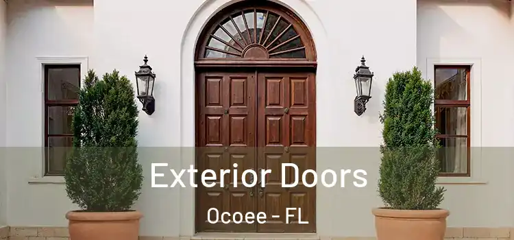 Exterior Doors Ocoee - FL
