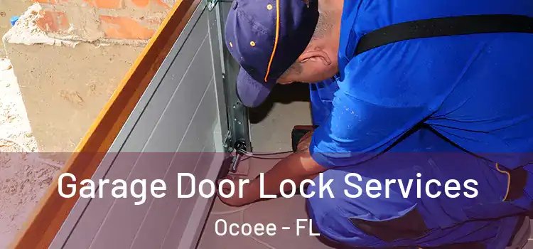 Garage Door Lock Services Ocoee - FL