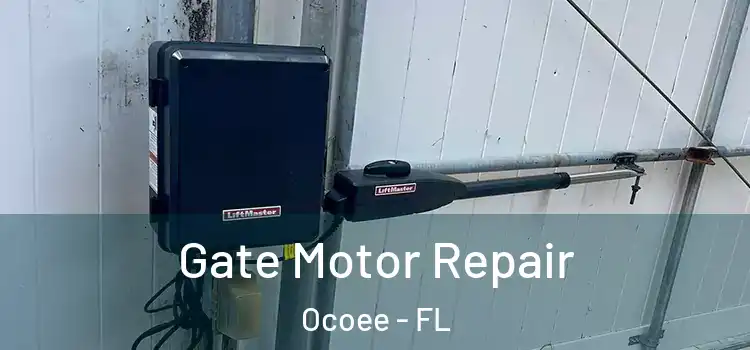 Gate Motor Repair Ocoee - FL