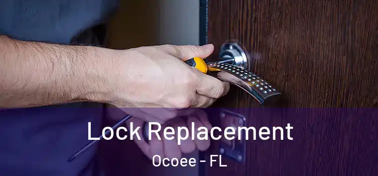 Lock Replacement Ocoee - FL