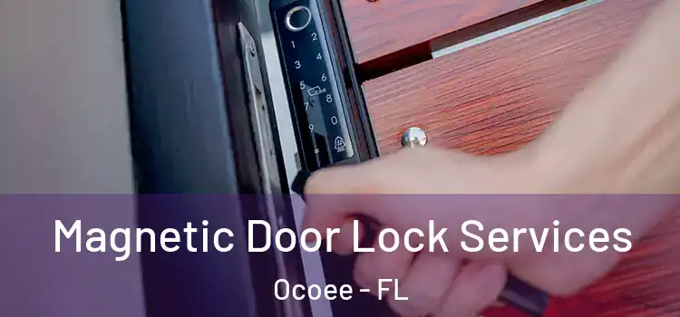 Magnetic Door Lock Services Ocoee - FL