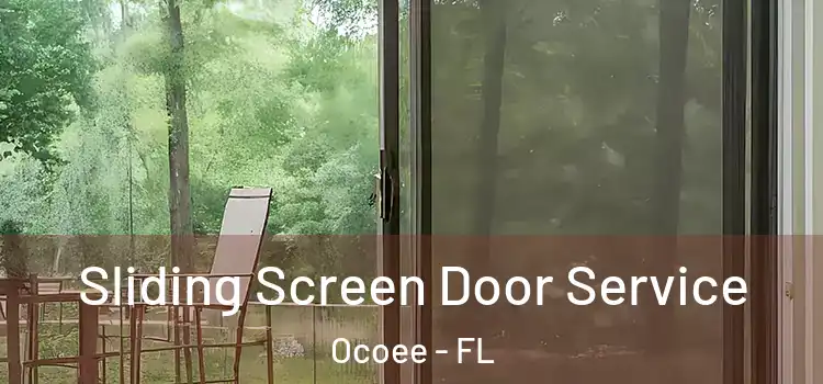 Sliding Screen Door Service Ocoee - FL