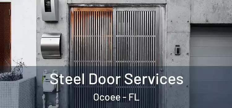 Steel Door Services Ocoee - FL